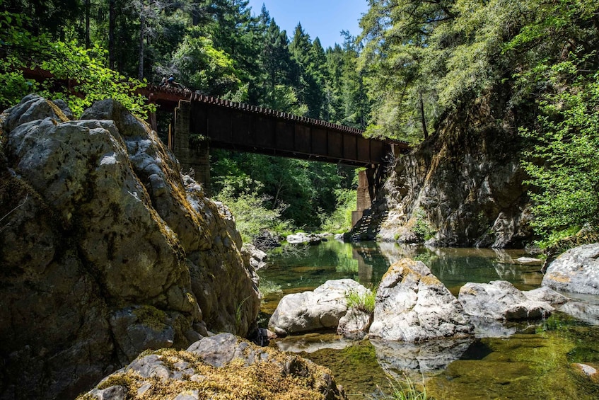 Picture 2 for Activity Mendocino County: Pudding Creek Railbikes