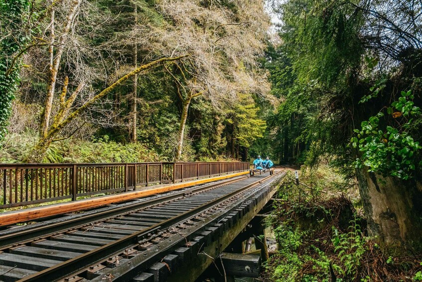 Picture 7 for Activity Mendocino County: Pudding Creek Railbikes