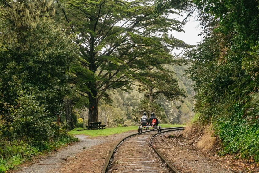 Picture 3 for Activity Mendocino County: Pudding Creek Railbikes