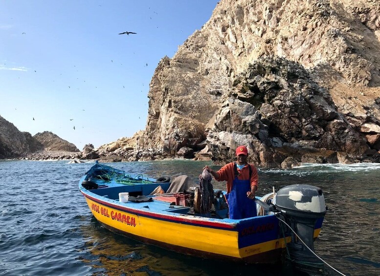 Picture 3 for Activity From Paracas or Pisco: Ballestas Islands Private Boat Trip