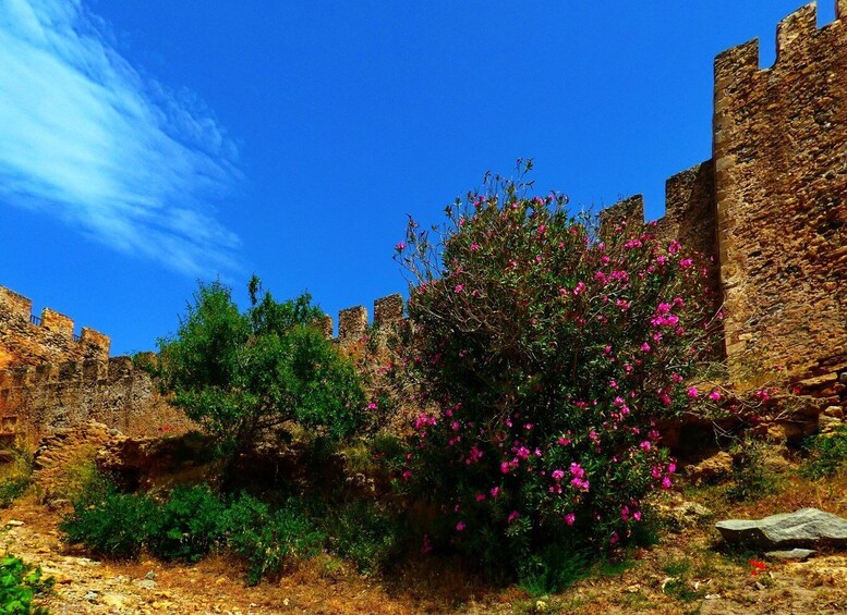 Picture 1 for Activity From Chania: Sfakia, Frangokastelo and Vrysses with snacks