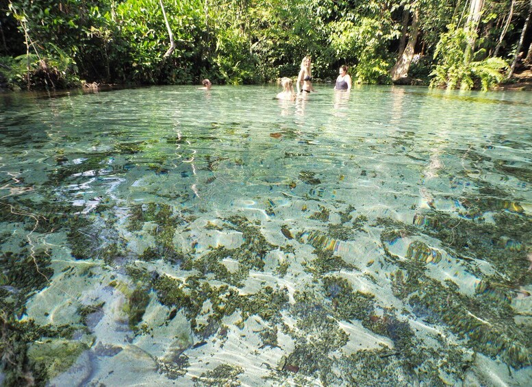 Picture 13 for Activity From Khao Lak/Khao Sok: Cheow Lan Lake and Emerald Pool Tour