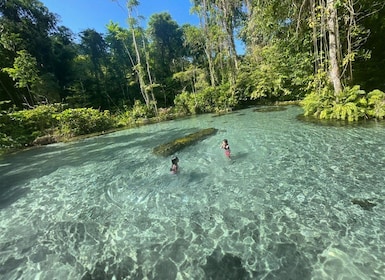 Fra Khao Lak/Khao Sok: Cheow Lan-søen og Emerald Pool-tur