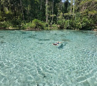 From Khao Lak/Khao Sok: Cheow Lan Lake and Emerald Pool Tour