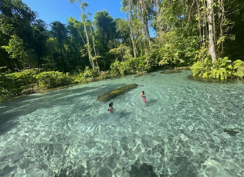 Picture 1 for Activity From Khao Lak/Khao Sok: Cheow Lan Lake and Emerald Pool Tour