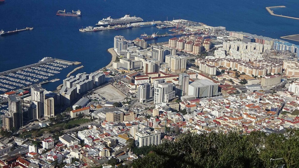 Picture 5 for Activity From Cadiz: Gibraltar Private Full-Day Trip