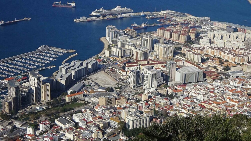 Picture 5 for Activity From Cadiz: Gibraltar Private Full-Day Trip