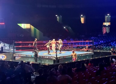 Mexiko-Stadt: Ticket für die Wrestling-Show und Fahrt mit dem Doppeldeckerb...