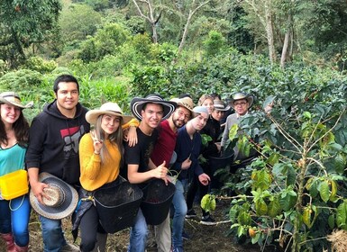 Salento: Private Cocora Valley, Salento & Coffee Farm Tour