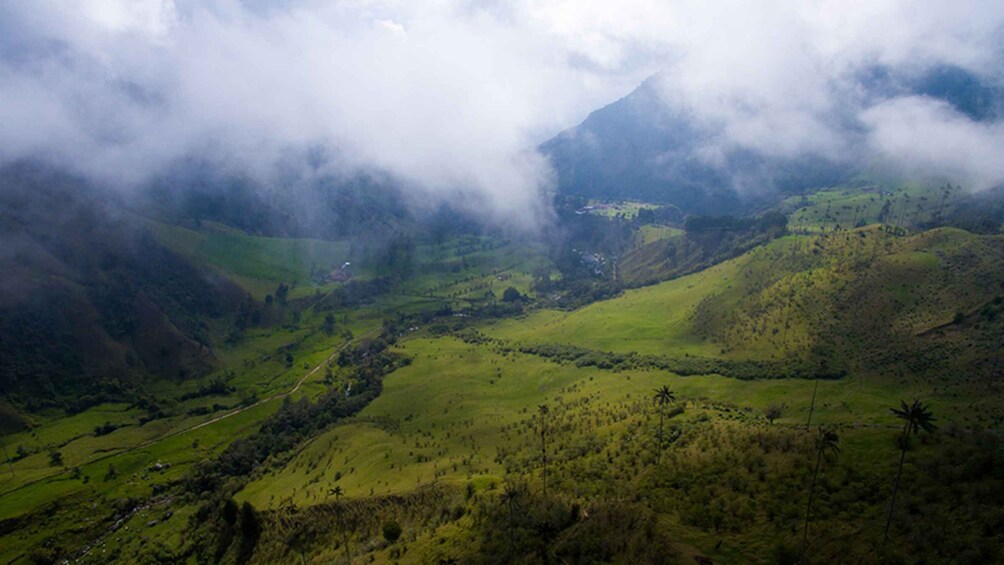 Picture 8 for Activity Salento: Private Cocora Valley, Salento & Coffee Farm Tour