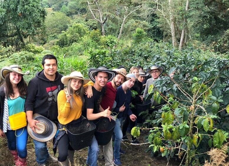 Salento: Private Cocora Valley, Salento & Coffee Farm Tour