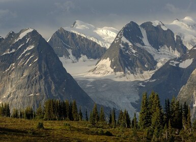 From Calgary: Kootenay National Park Day Trip