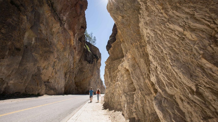 From Calgary: Kootenay National Park Day Trip