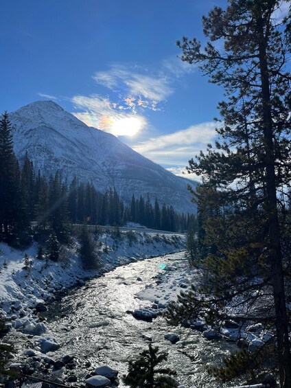 Picture 4 for Activity From Calgary: Kootenay National Park Day Trip