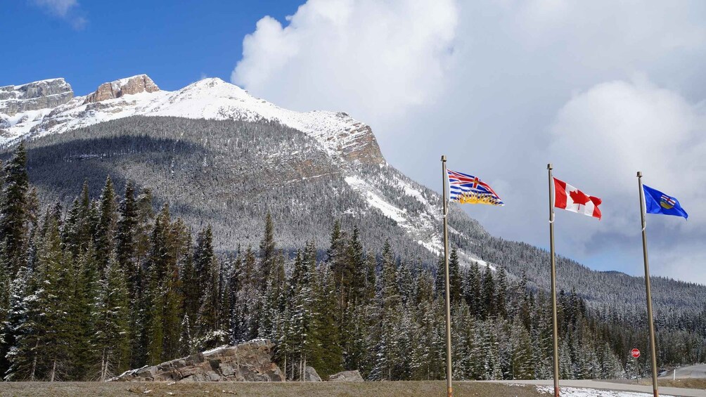 Picture 5 for Activity From Calgary: Kootenay National Park Day Trip