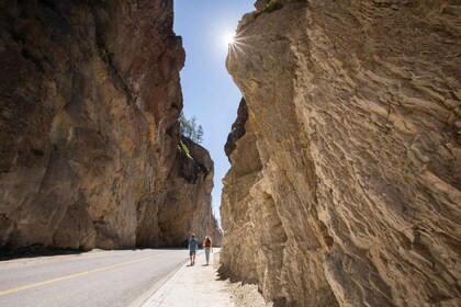 De Calgary : Excursion d’une journée dans le parc national Kootenay