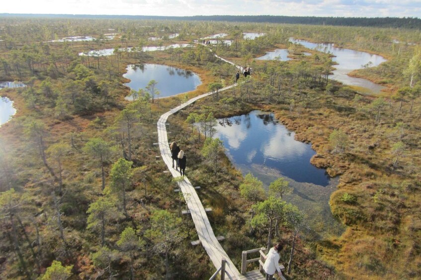 Picture 7 for Activity Full Day in Jurmala and Kemeri National Park