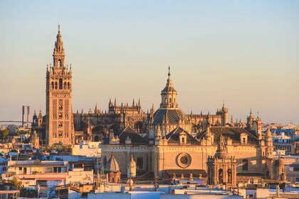 Dari Cádiz: Private Day Tour ke Landmark Terkenal Seville