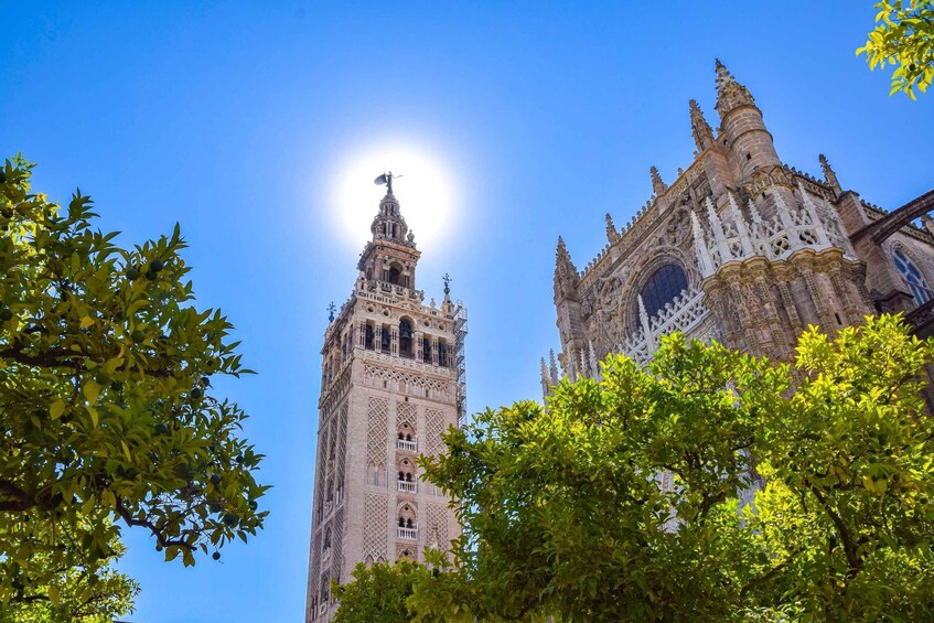 Picture 4 for Activity From Cádiz: Private Day Tour of Seville's Famous Landmarks