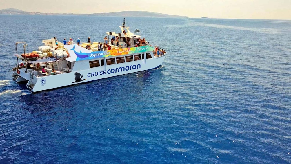 Picture 9 for Activity Mallorca: 2-Hour Dolphin Watching Cruise & Glass-Bottom Boat