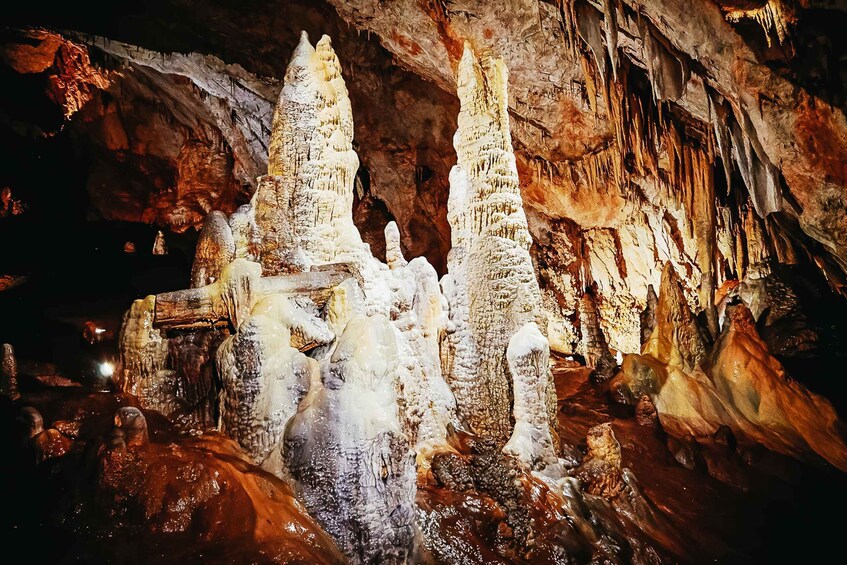 Picture 2 for Activity From Kotor:Private Excursion Wild Beauty of the Lipa Cave