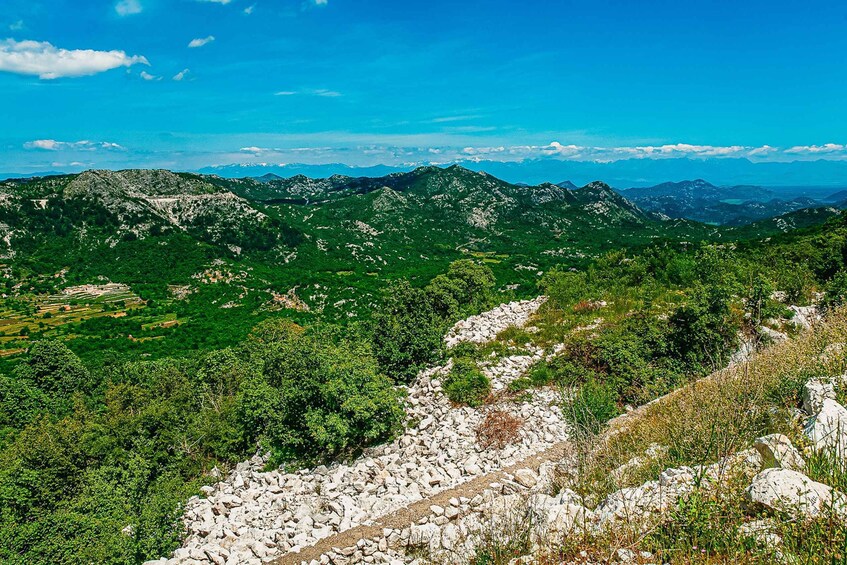 Picture 3 for Activity From Kotor:Private Excursion Wild Beauty of the Lipa Cave