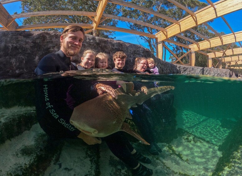 Anna Bay: Irukandji Entry Pass with Zebra Shark Encounter