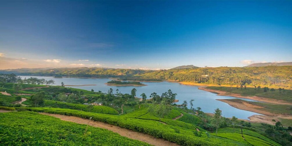 Picture 6 for Activity From Colombo: Private Overnight Trip to Nuwara Eliya