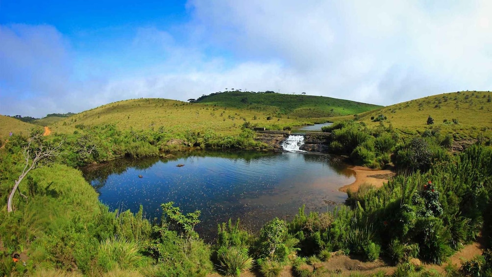 Picture 2 for Activity From Colombo: Private Overnight Trip to Nuwara Eliya