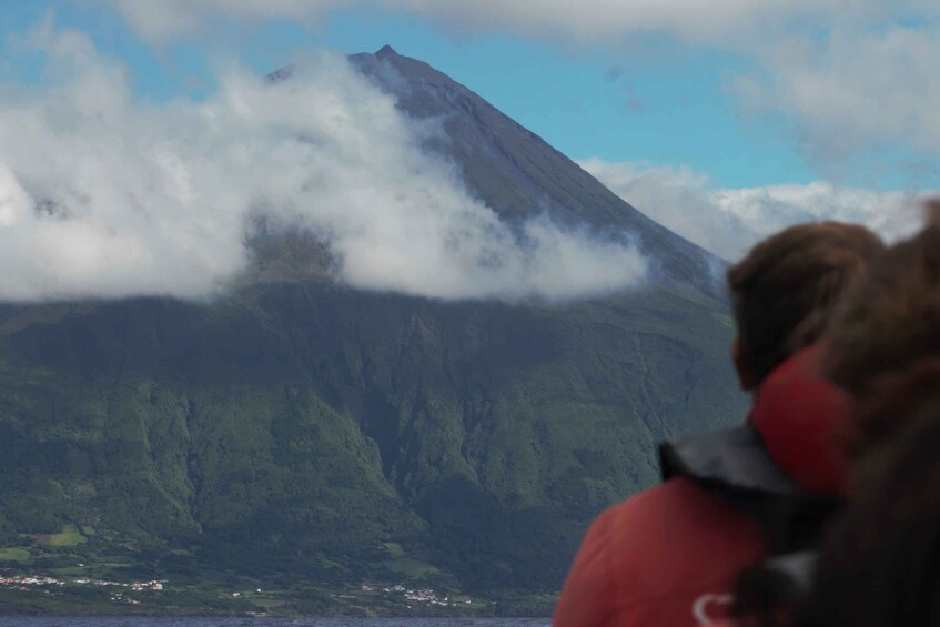 Picture 5 for Activity Pico Island: Whale Watching Experience from Lajes