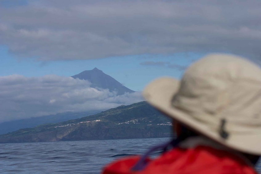 Picture 6 for Activity Pico Island: Whale Watching Boat Tour with Biologist Guides