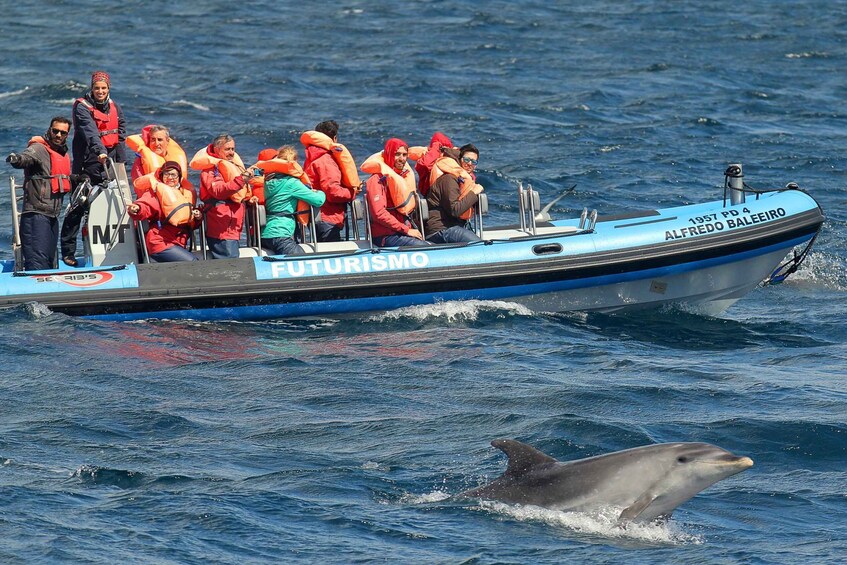 Picture 9 for Activity Pico Island: Whale Watching Boat Tour with Biologist Guides