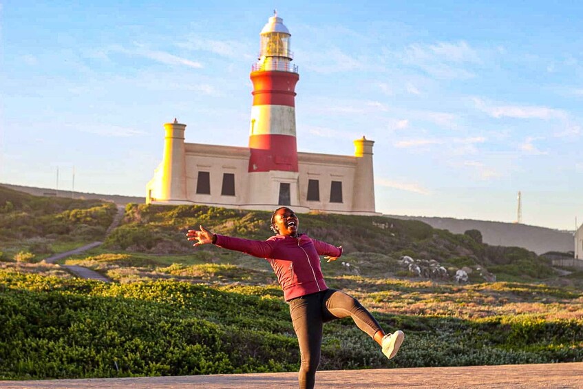 Picture 1 for Activity Cape Agulhas, Hermanus & Stoney point Penguins full Day Tour