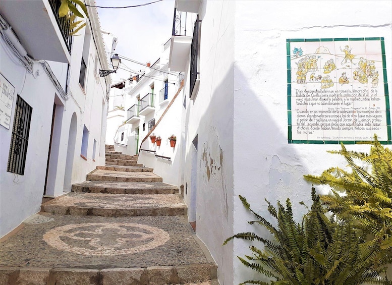Picture 5 for Activity Frigiliana: Private walking tour