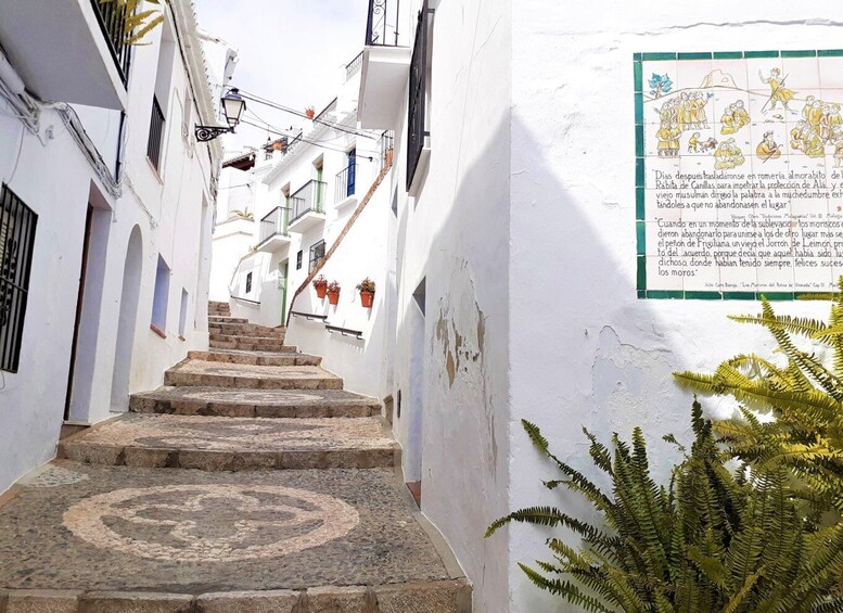 Picture 3 for Activity Frigiliana: Private Walking Tour with Personal Guide