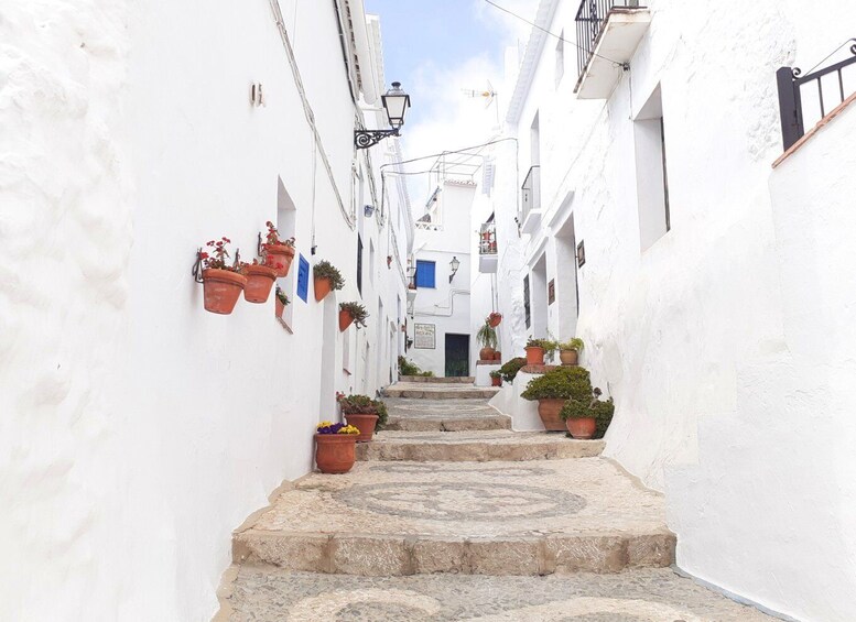 Picture 4 for Activity Frigiliana: Private Walking Tour with Personal Guide