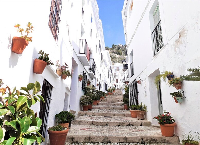 Picture 4 for Activity Frigiliana: Private walking tour