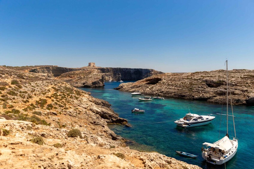 Picture 12 for Activity St Paul's Bay: Comino, Blue Lagoon, Gozo, & Caves Boat Tour