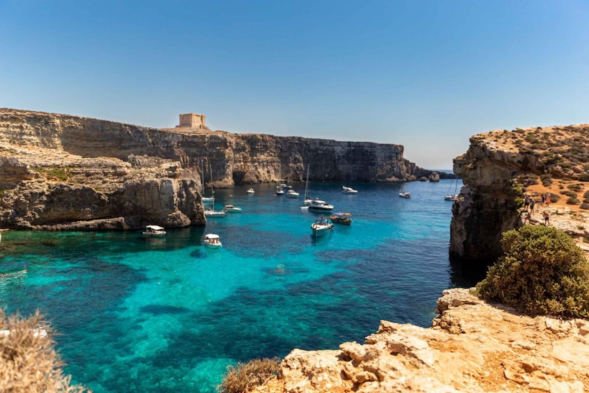 Picture 4 for Activity St Paul's Bay: Comino, Blue Lagoon, Gozo, & Caves Boat Tour