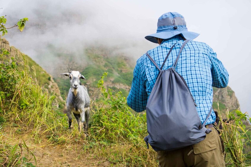 Picture 1 for Activity Serra Malagueta Natural Park: Hike to Gongon Valley & Lunch