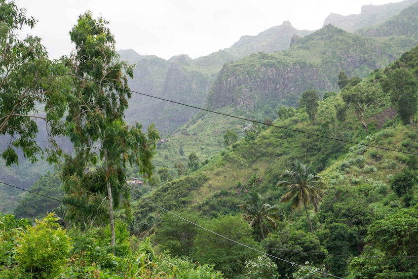 Picture 3 for Activity Serra Malagueta Natural Park: Hike to Gongon Valley & Lunch