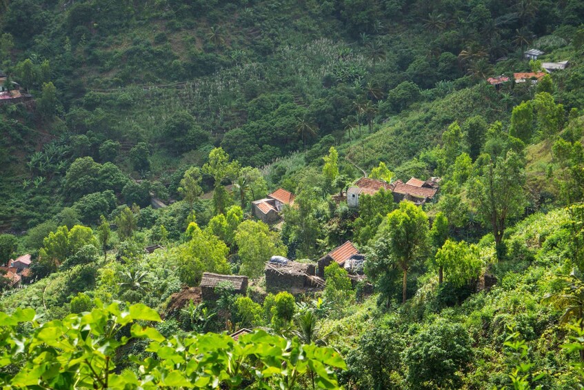 Picture 5 for Activity Serra Malagueta Natural Park: Hike to Gongon Valley & Lunch