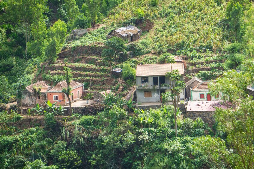 Picture 6 for Activity Serra Malagueta Natural Park: Hike to Gongon Valley & Lunch