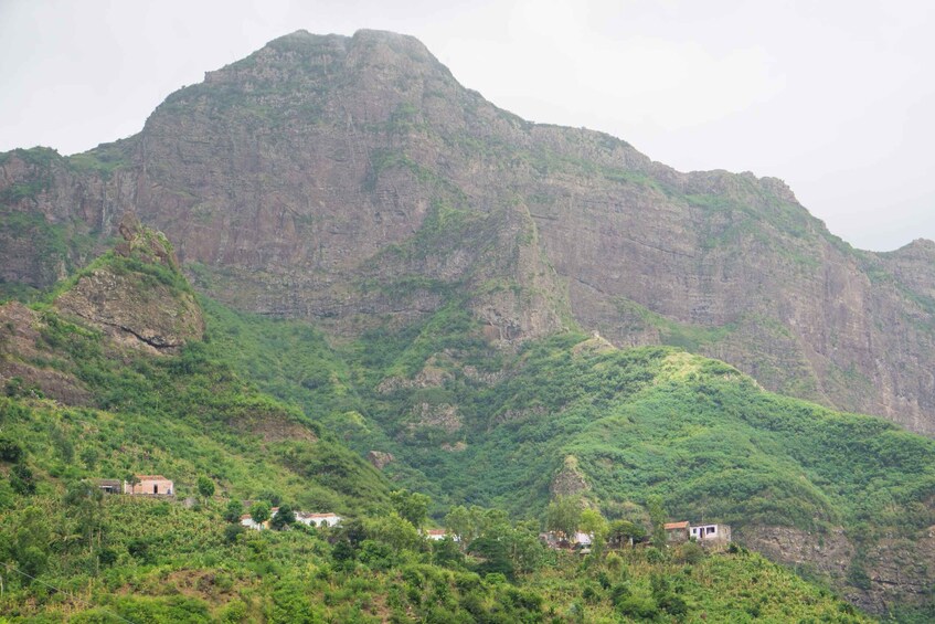 Picture 2 for Activity Serra Malagueta Natural Park: Hike to Gongon Valley & Lunch