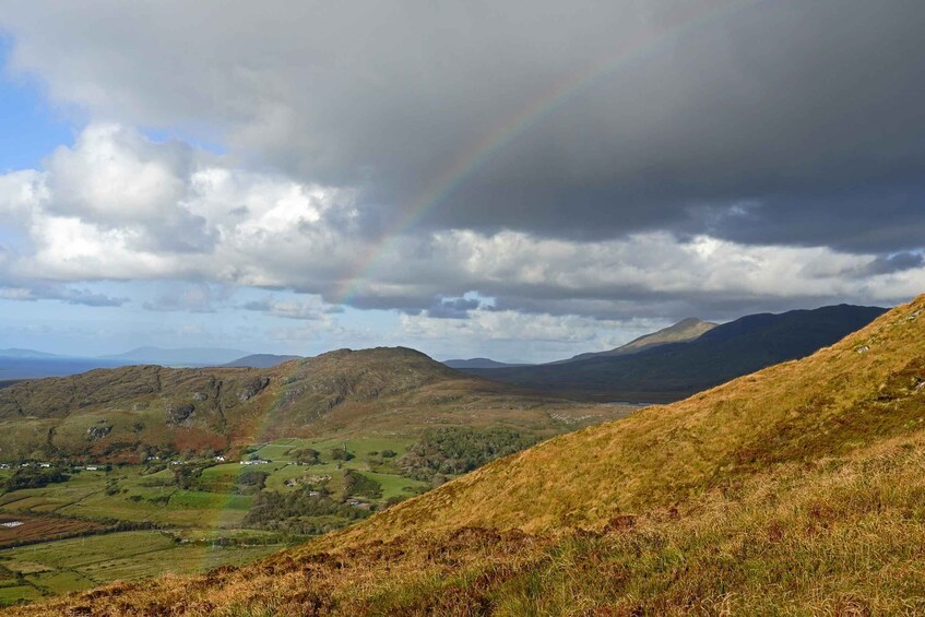 Picture 2 for Activity From Galway: Connemara National Park Full Day Tour