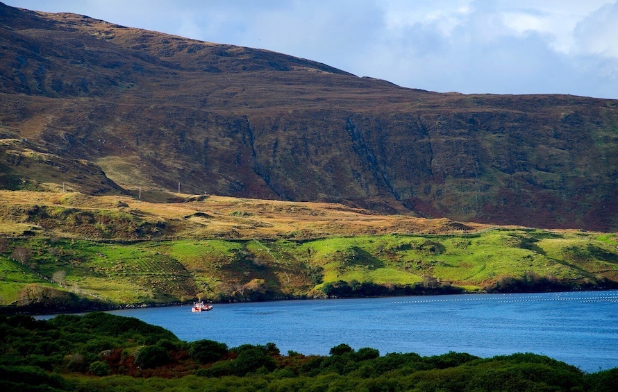 Picture 8 for Activity From Galway: Connemara National Park Full Day Tour