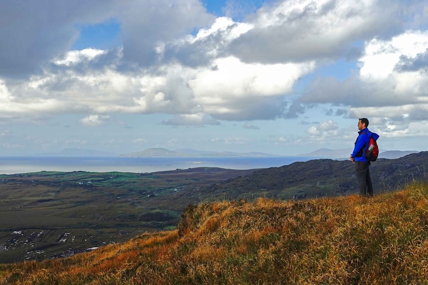 Picture 1 for Activity From Galway: Connemara National Park Full Day Tour