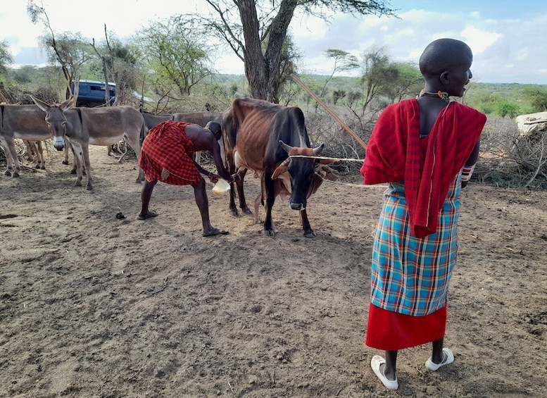 Picture 15 for Activity Masai cultural Village Day Tour From Nairobi