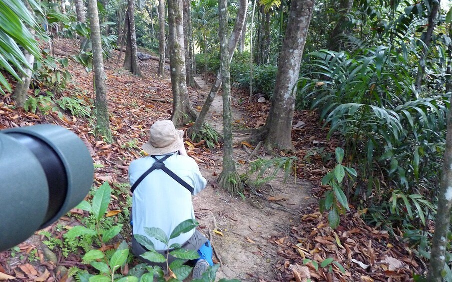 From Colombo: 5-Day Private Wildlife Photography Tour