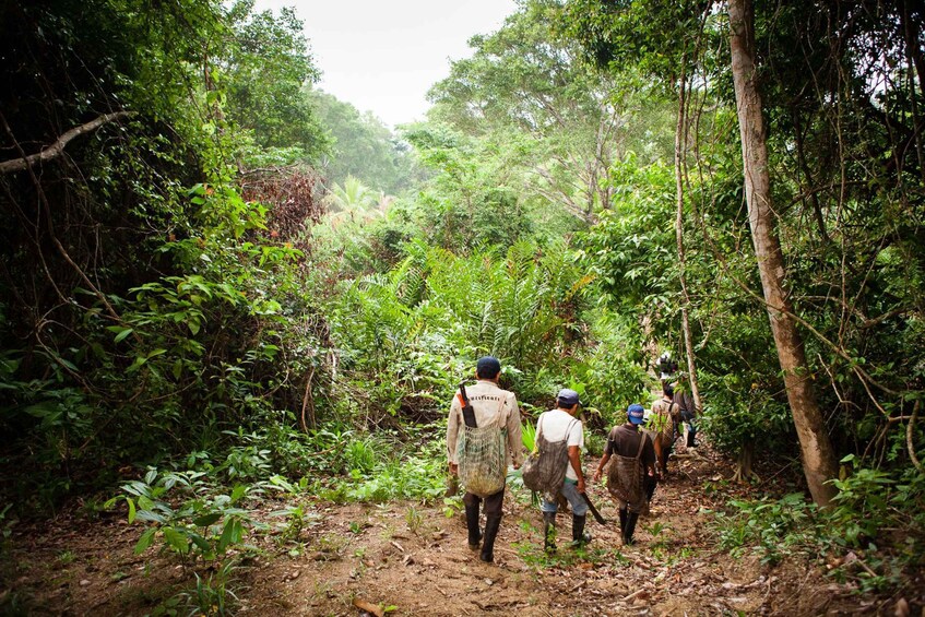 Picture 3 for Activity From Colombo: 5-Day Private Wildlife Photography Tour